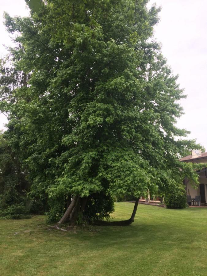 Mariandre Chambre Chez L'Habitant Biscarrosse Exterior foto